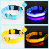 Reflective LED Light Puppy Collar Rechargeable Waterproof Glow in The Dark Dog Collars(10 Pack)