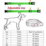 Reflective LED Light Puppy Collar Rechargeable Waterproof Glow in The Dark Dog Collars(Bulk 3 Sets)