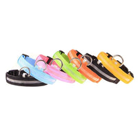 Reflective LED Light Puppy Collar Rechargeable Waterproof Glow in The Dark Dog Collars(Bulk 3 Sets)