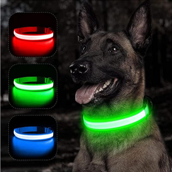 Reflective LED Light Puppy Collar Rechargeable Waterproof Glow in The Dark Dog Collars
