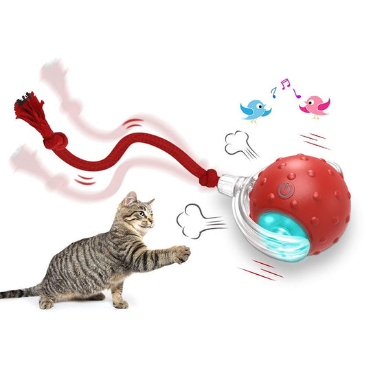 Interactive Cat Toys Ball for Indoor Automatic Fast Rolling on Carpet Chirping (10 Pack)