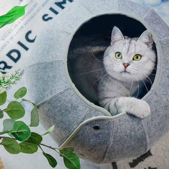 Cat tunnel foldable and durable household comfortable and scratch resistant nest for dog and cat