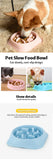 Multifunctional Dog Cat Feeders Food & Dog feeder Bowl Combo Pack