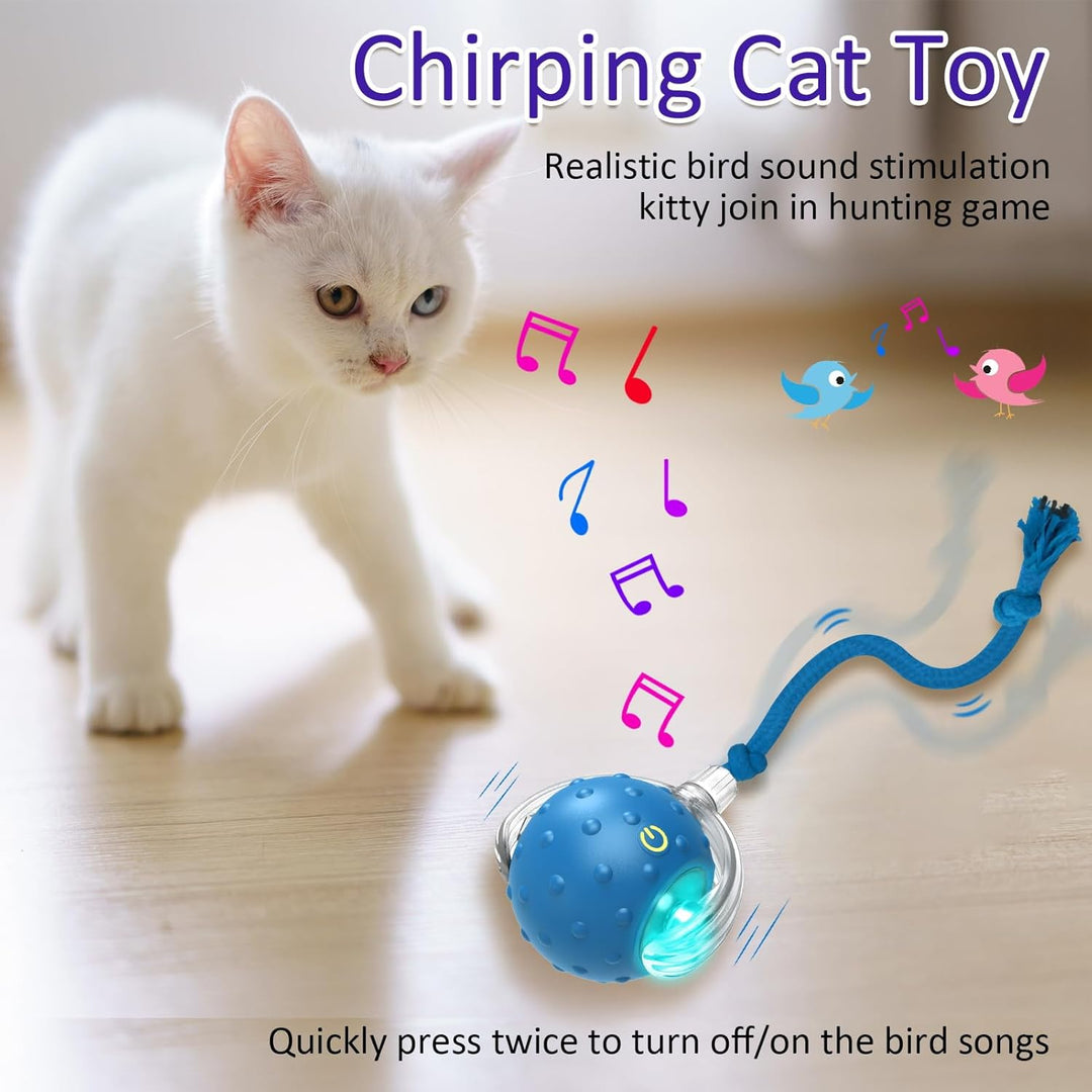 Interactive Cat Toys Ball for Indoor Automatic Fast Rolling on Carpet Chirping