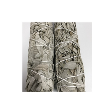 Premium Quality White Sage Smudge Sticks for removing negative energy