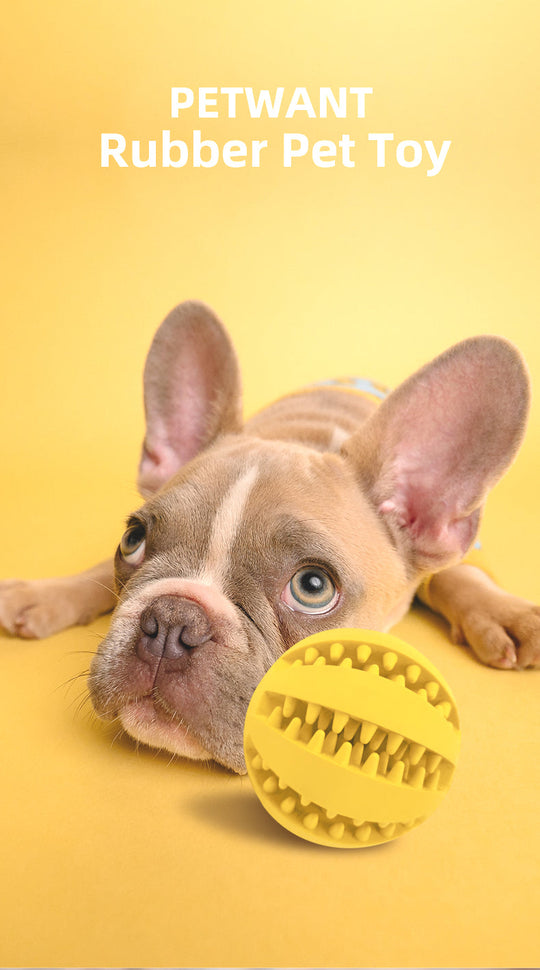 Cute Puppy Puzzle Teething Food Ball Toys(10 Pack)