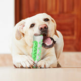 Dog Squeaky Bone Stick Toy Chew Toothbrush & Grooming Brush