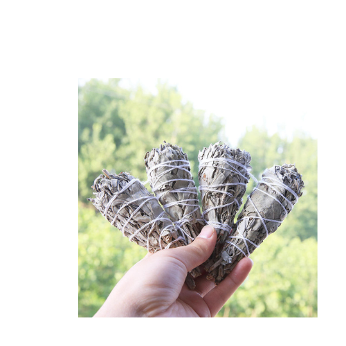 Premium Quality White Sage Smudge Sticks for removing negative energy