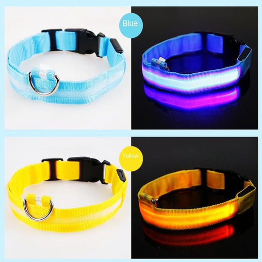 Reflective LED Light Puppy Collar Rechargeable Waterproof Glow in The Dark Dog Collars(10 Pack)