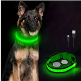 Reflective LED Light Puppy Collar Rechargeable Waterproof Glow in The Dark Dog Collars