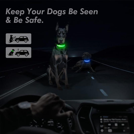 Reflective LED Light Puppy Collar Rechargeable Waterproof Glow in The Dark Dog Collars