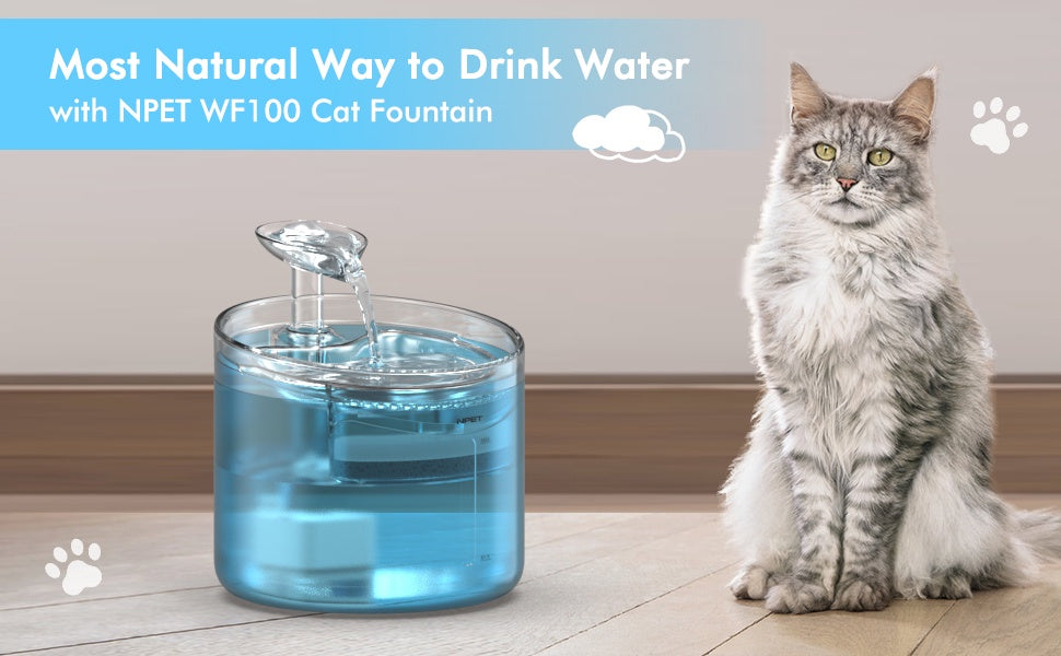 Cat Water Fountain, 54oz/1.6L Automatic Pet Fountain Cat Water Dispenser with 2 Flow Modes, Light Quiet Pump for Cats