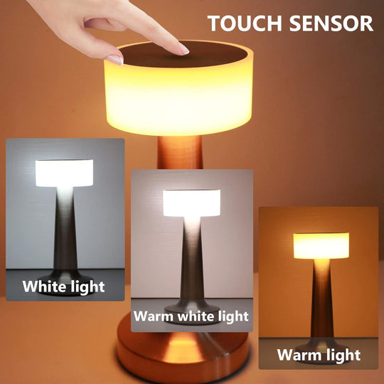 Ultra Luxury Slim & Sleek 3 Way Modes & Stepless Dimmable LED Touch Lamp