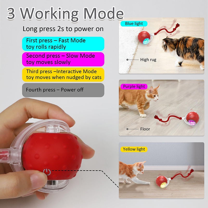 Interactive Cat Toys Ball for Indoor Automatic Fast Rolling on Carpet Chirping