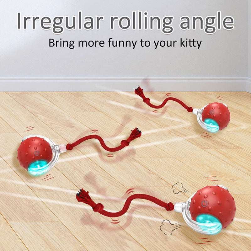 Interactive Cat Toys Ball for Indoor Automatic Fast Rolling on Carpet Chirping (10 Pack)