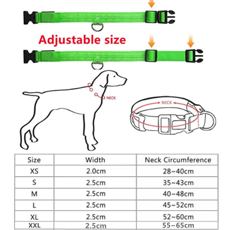 Reflective LED Light Puppy Collar Rechargeable Waterproof Glow in The Dark Dog Collars