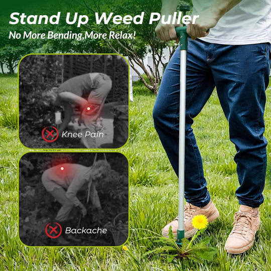 Heavy-Duty Manual Weed Puller Tool – Long Handle 3-Claw Garden Weed Remover with Ergonomic T-Handle