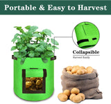 Perfect Gift Double Thickened Felt Potato Grow Containers with Handles & Access Flap(10 Pack)