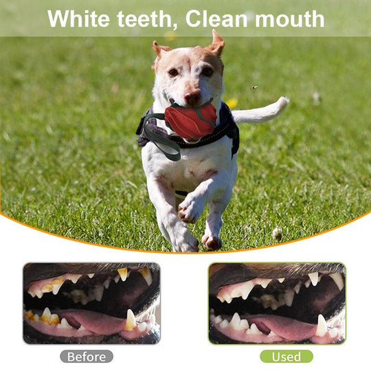 High Quality Indestructible Dog Toy Slow Treat Dispensing Interactive Toys for Small, Medium & Large Breed