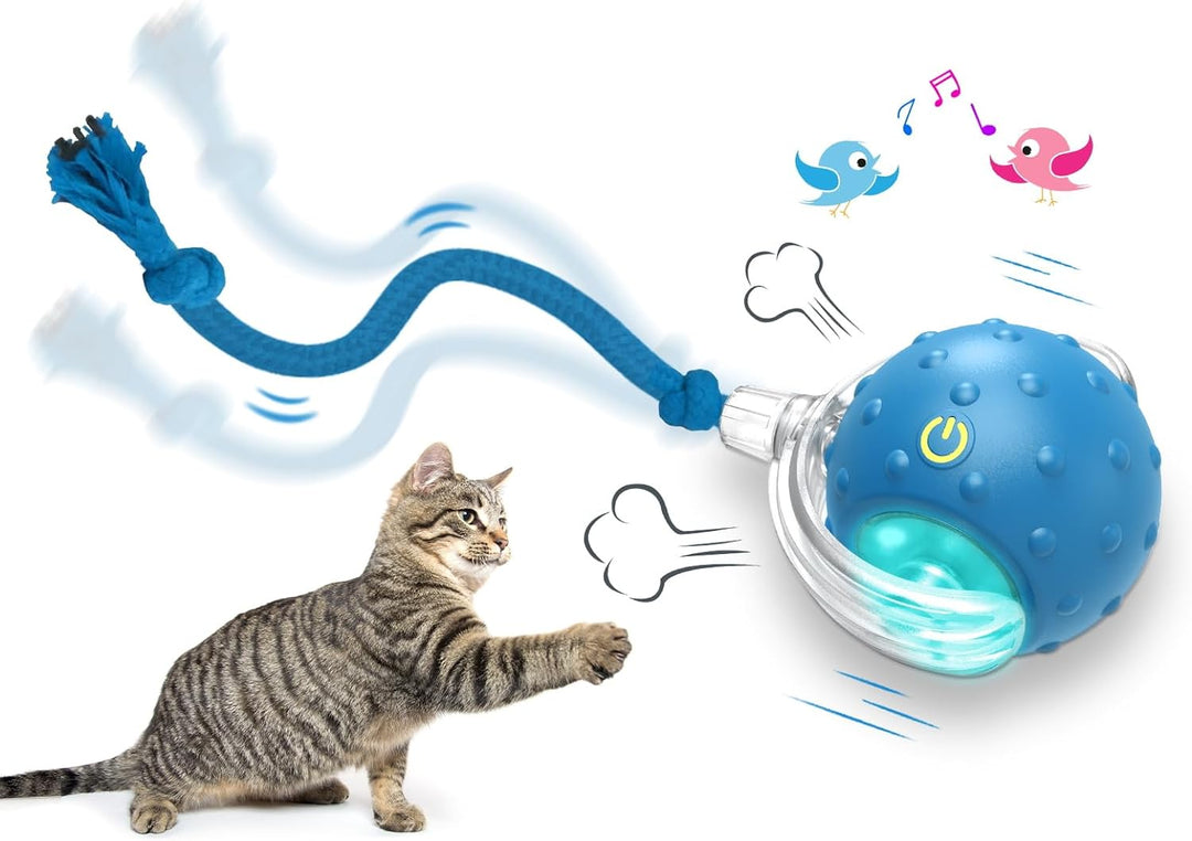 Interactive Cat Toys Ball for Indoor Automatic Fast Rolling on Carpet Chirping (10 Pack)