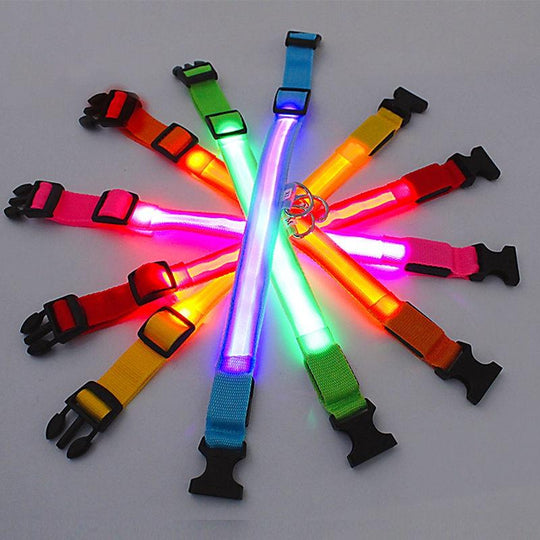 Reflective LED Light Puppy Collar Rechargeable Waterproof Glow in The Dark Dog Collars