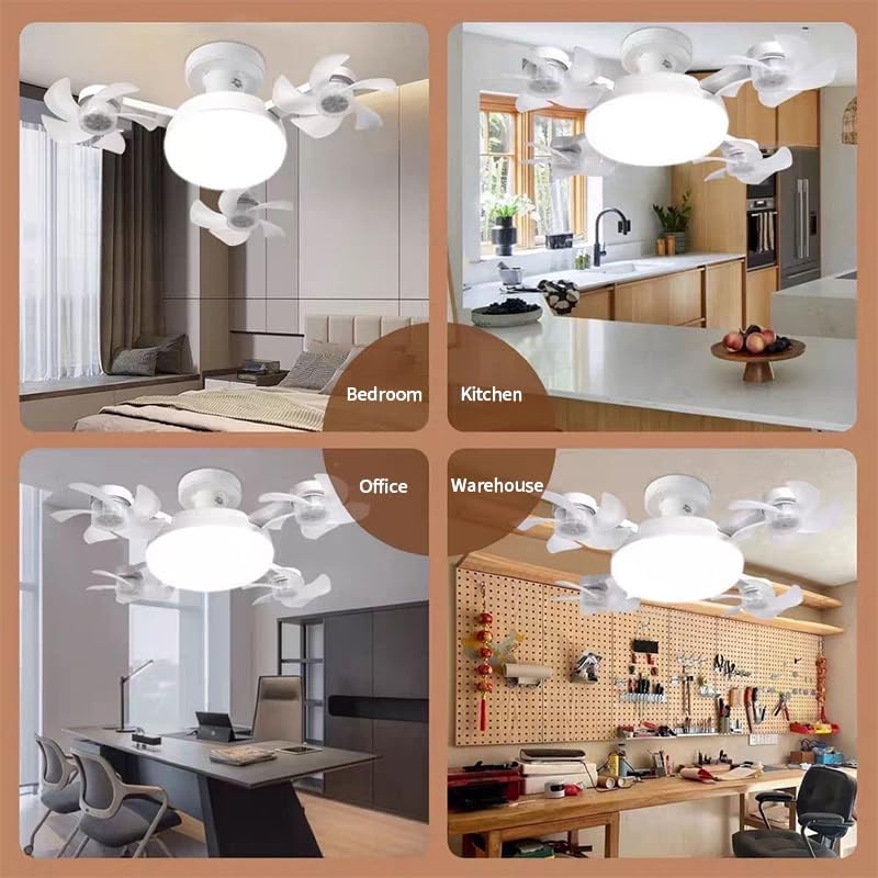 Plug-in Smart Ceiling 4 Blades Fan with Remote, 60W 3-Color Dimmable LED (MOQ 10 Sets)