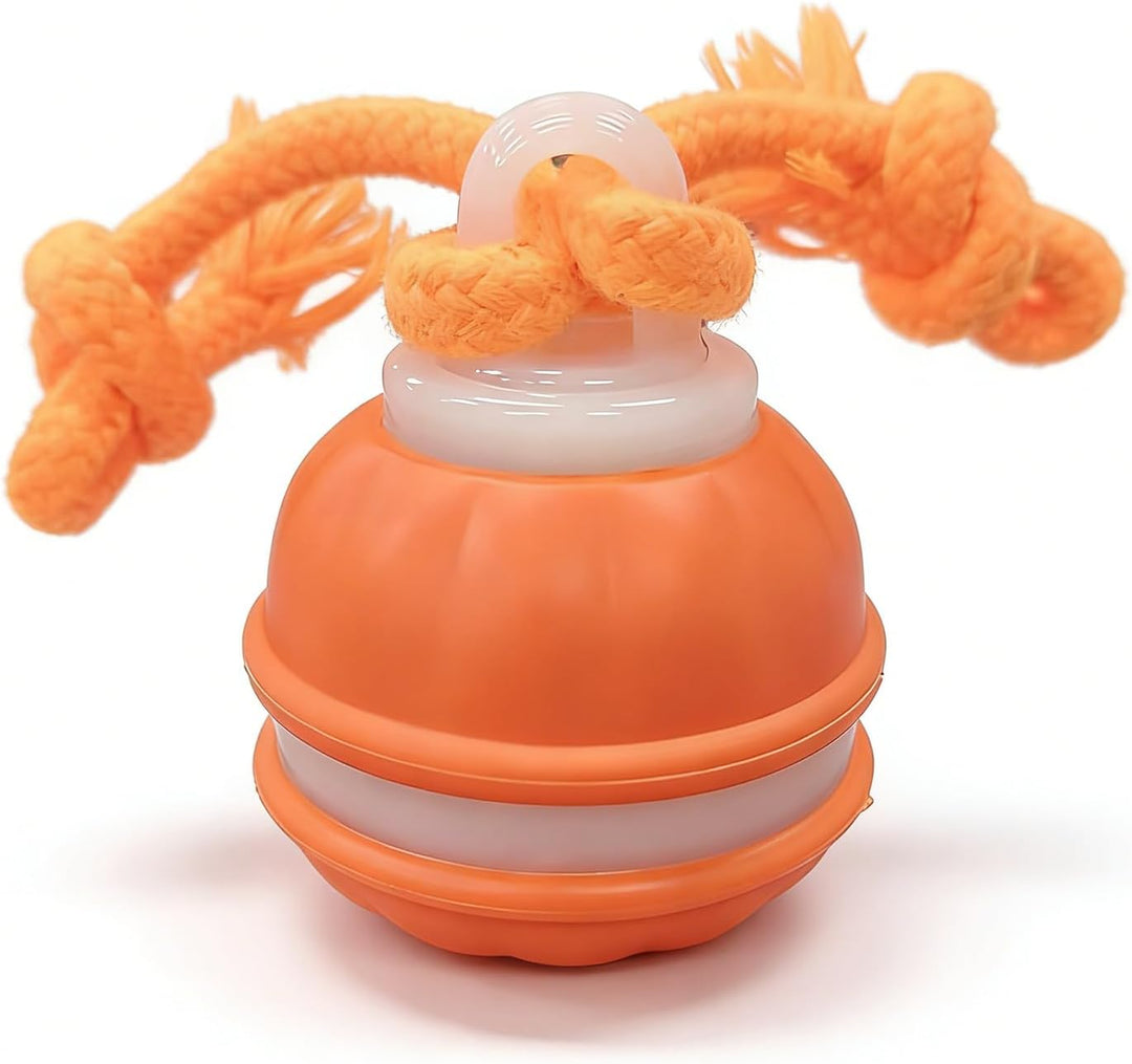 Interactive Rechargeable Dog Toy, 360° Smart Automatic Rolling Moving Toy for Bored Pets