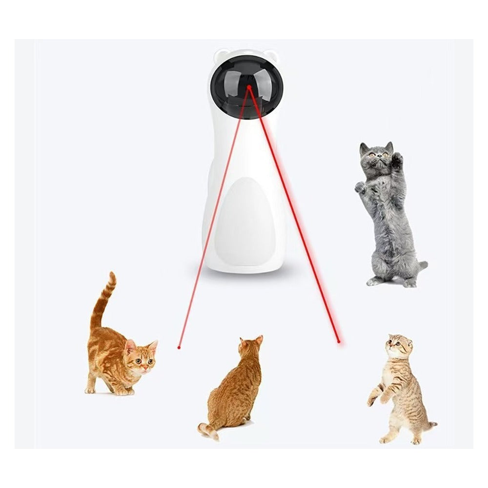 Cats chasing the red dot from the VIGOR automatic laser toy
