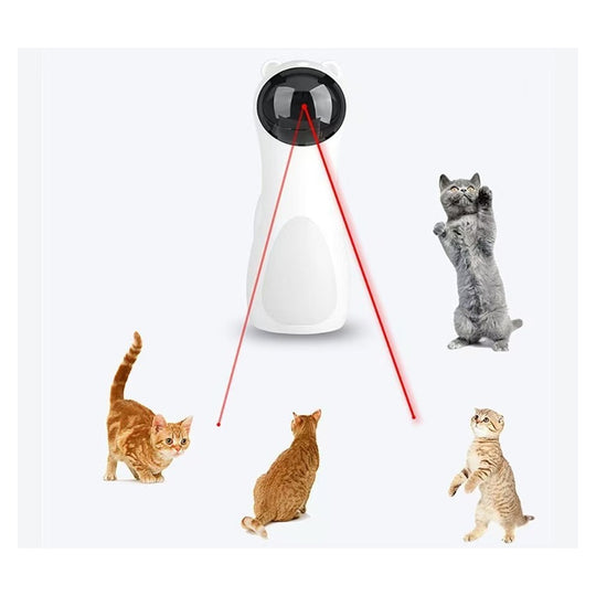 Cats chasing the red dot from the VIGOR automatic laser toy