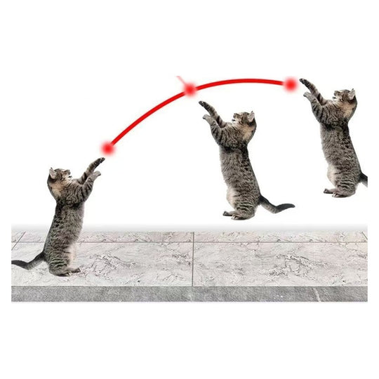 Cats leaping after the red laser dot trajectory from the automatic cat toy
