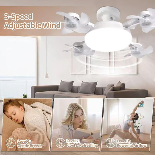 Plug-in Smart Ceiling 4 Blades Fan with Remote, 60W 3-Color Dimmable LED (MOQ 10 Sets)
