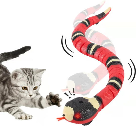 USB Rechargeable,Automatically Sense Obstacles and Escape,Electric Tricky Snake Cat Toys for Indoor Cats Dogs (MOQ 10 Sets)