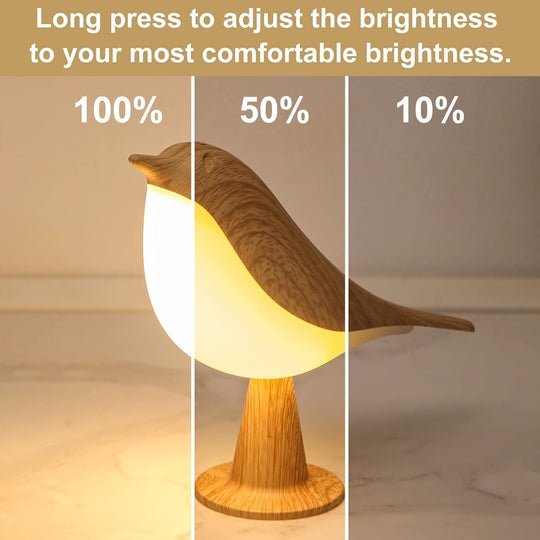 Night Light Aroma Diffuser with Bird Design Dimmable Detachable Sleep Aid Desktop Decor Ambient Lamp
