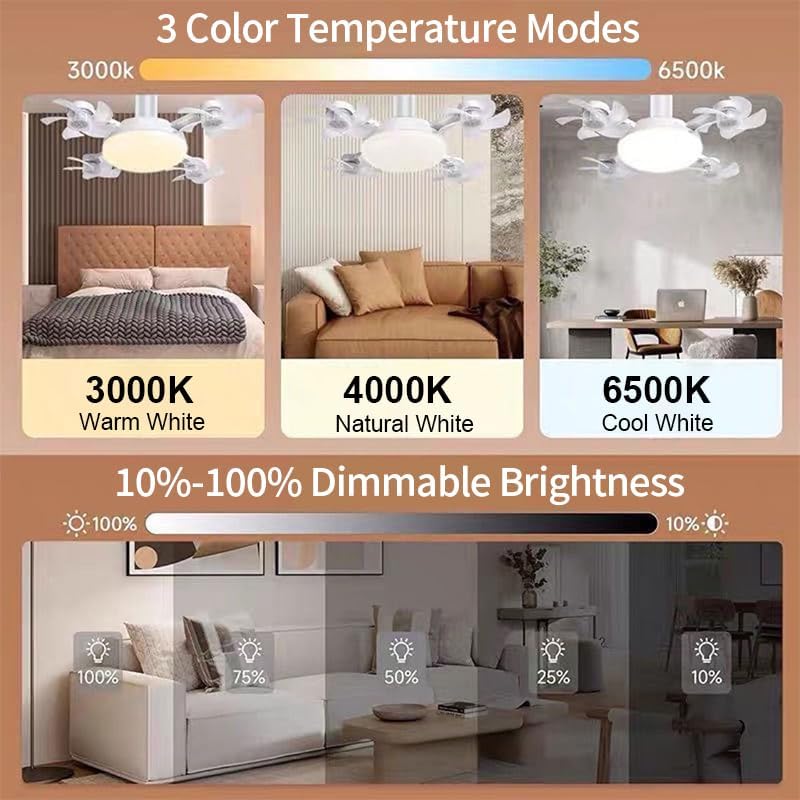 Plug-in Smart Ceiling 4 Blades Fan with Remote, 60W 3-Color Dimmable LED (MOQ 10 Sets)