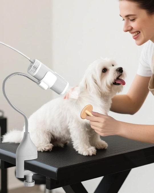 Pet Grooming Dog Hair Dryer Water Blowing Machine Neck Hanging Free Your Hands (MOQ 10 Sets)