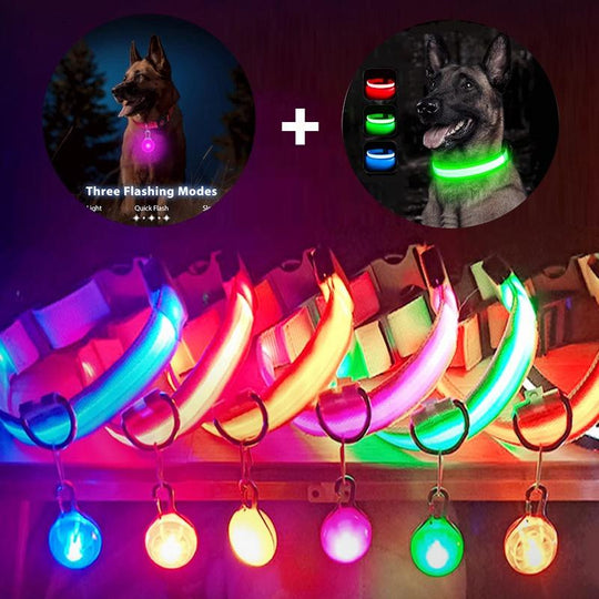 Reflective LED Light Puppy Collar Rechargeable Waterproof Glow in The Dark Dog Collars