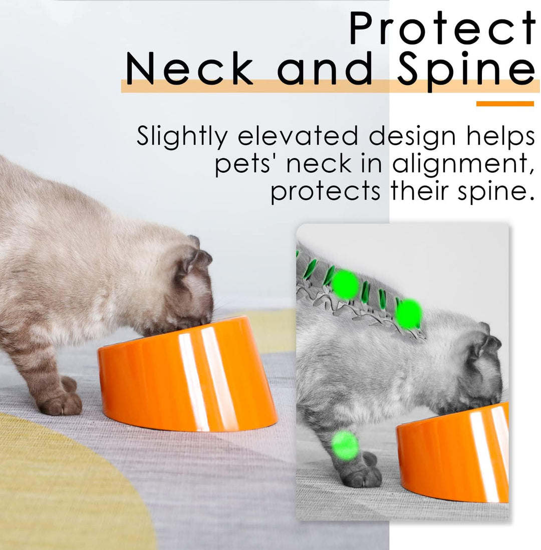Slanted Bowl for Dogs and Cats Cup (MOQ 10 Sets)