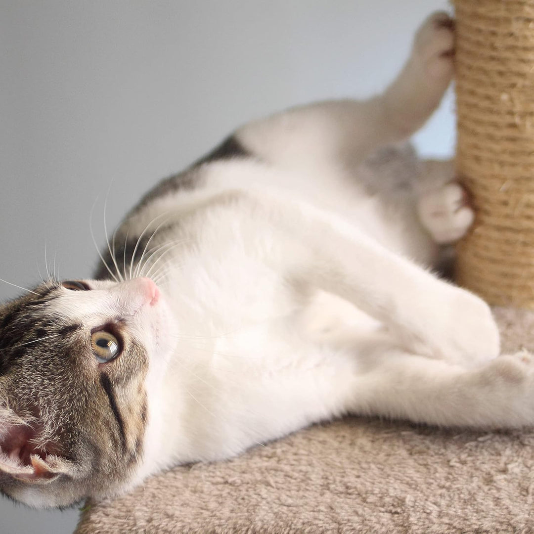 Furniture Scratching Deterrent for Indoor Cats Pad Base and Perch (MOQ 10 Sets)