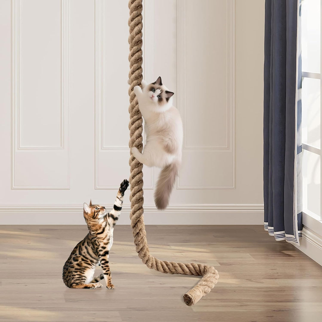 Cat Climbing Rope with Hook for Ceiling & Wall Mounted
