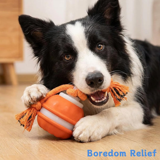 Interactive Rechargeable Dog Toy, 360° Smart Automatic Rolling Moving Toy for Bored Pets