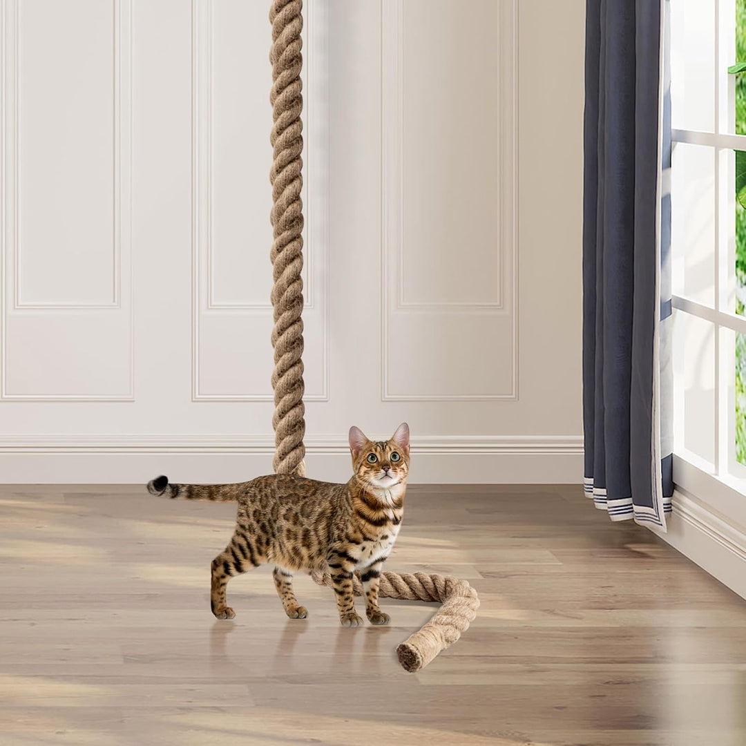 Cat Climbing Rope with Hook for Ceiling & Wall Mounted