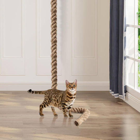 Cat Climbing Rope with Hook for Ceiling & Wall Mounted