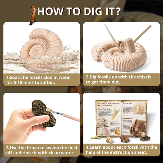 Fossil Dig Kit - Excavate 12 Prehistoric Fossils