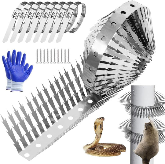 Outdoor Stainless Steel Garden Fence Spikes and Wall