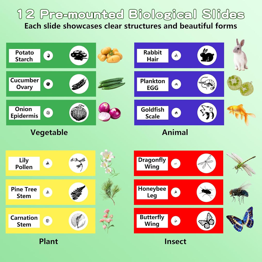 Microscope for Kids with 12 Slides, 100X-1000X 1080P Digital Handheld Kids Microscope (MOQ 10 sets)