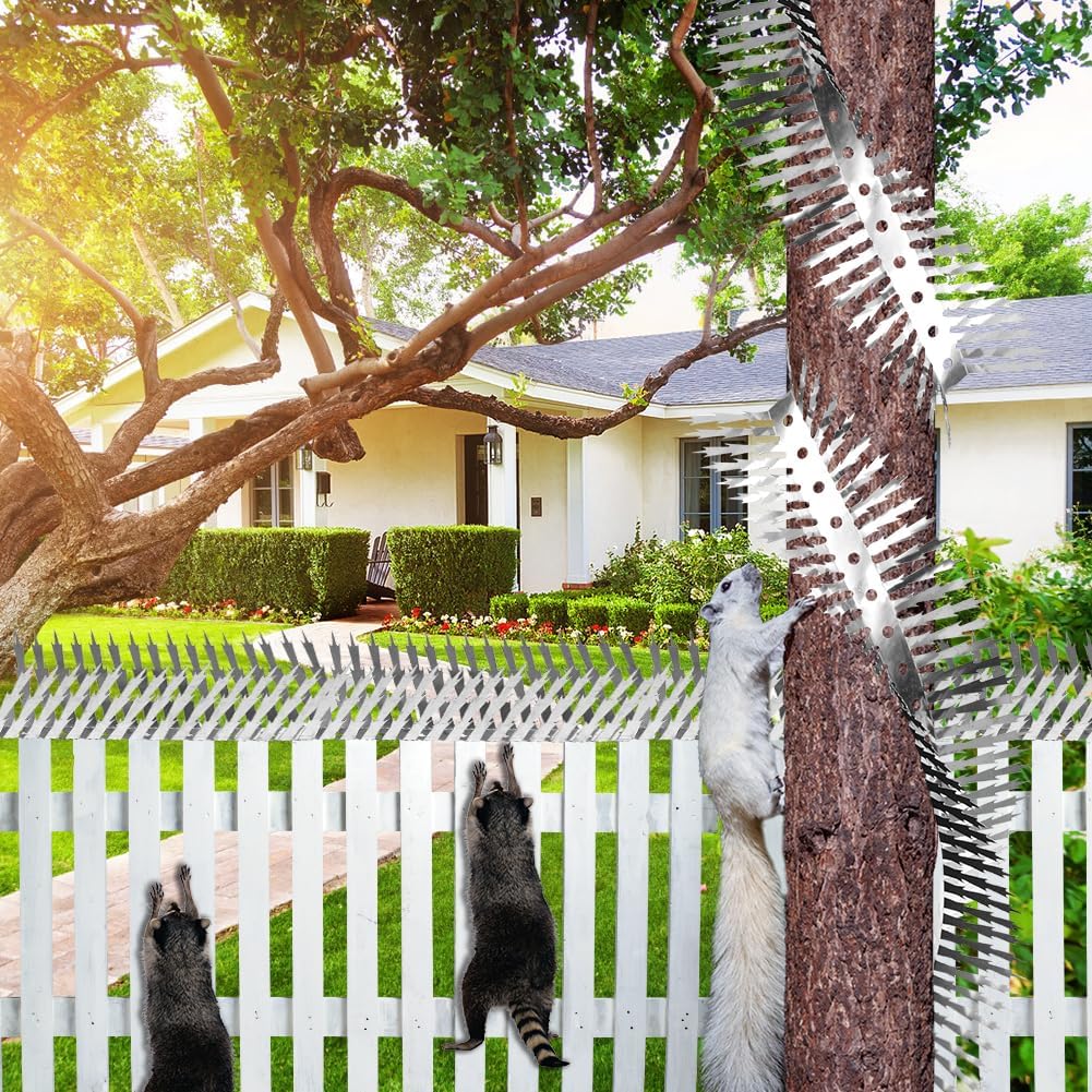 Outdoor Stainless Steel Garden Fence Spikes and Wall