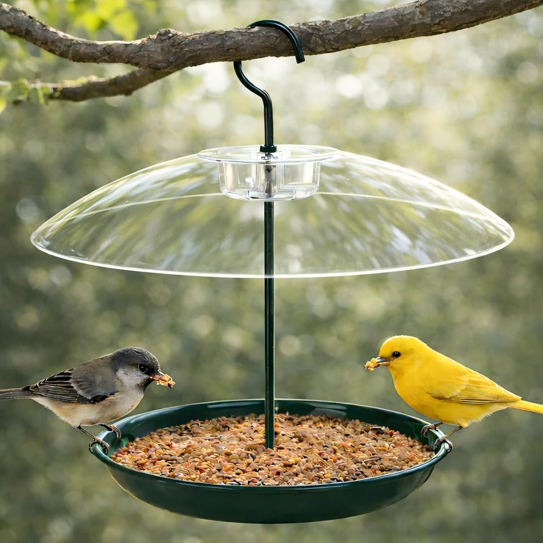 Outdoor Adjustable Platform Bird Feeder with Clear Dome (MOQ 10 Sets)