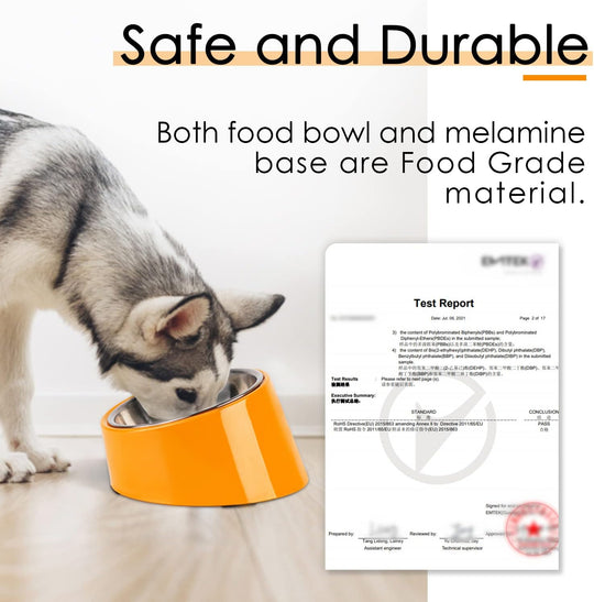 Slanted Bowl for Dogs and Cats Cup (MOQ 10 Sets)