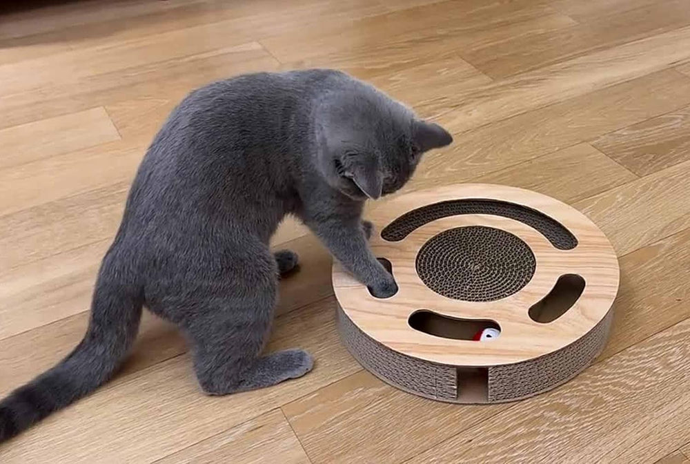 Cat Toy 3in 1 Kitten Puzzles Toys for Bored Indoor Cats