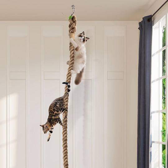Cat Climbing Rope with Hook for Ceiling & Wall Mounted